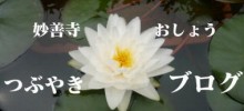妙善寺ブログ